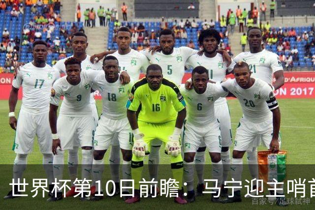 世界杯第10日前瞻：马宁迎主哨首秀 日本队踢第1000场里程碑