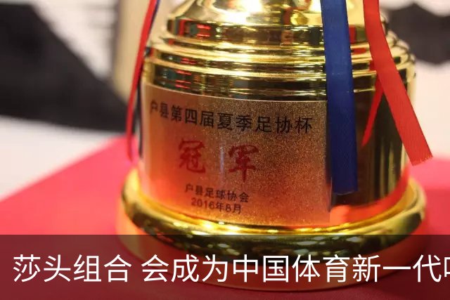 莎头组合 会成为中国体育新一代吸金王吗